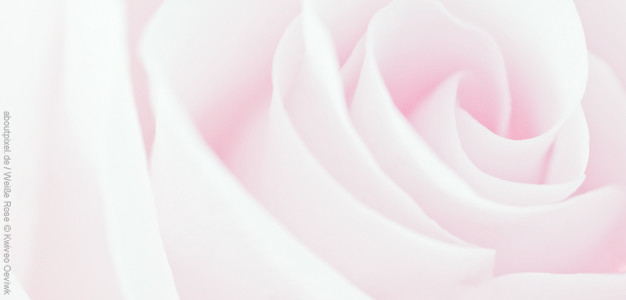 Hochzeit Gutschein Hintergrund 2