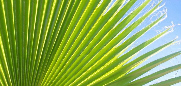 Wellness Gutschein Hintergrund 2
