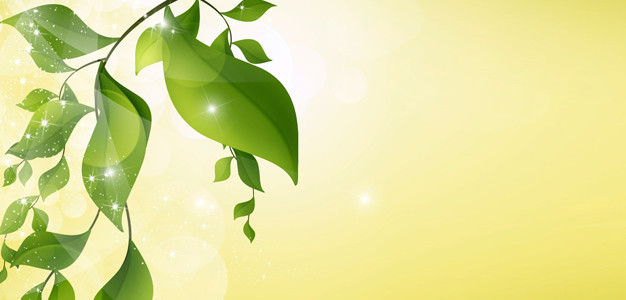 Wellness Gutschein Hintergrund 3