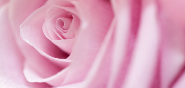Liebe Gutschein Hintergrund 3