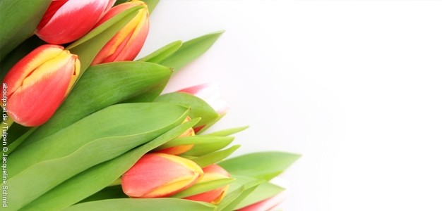 Ostern Vorlagen