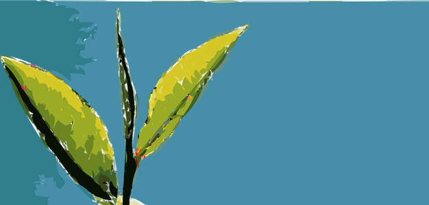 Wellness Gutschein Hintergrund 4