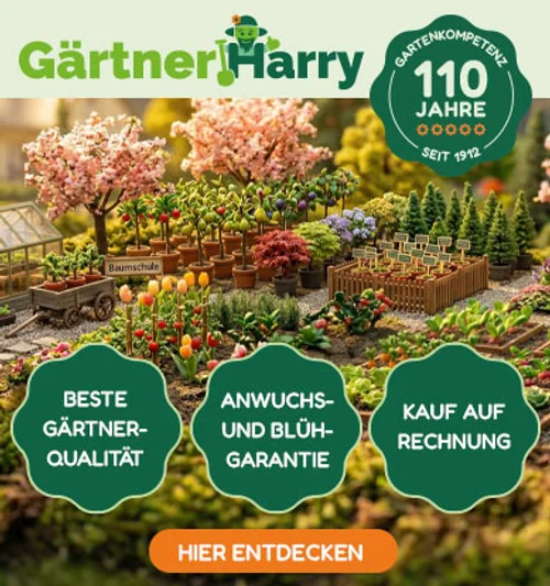 Gärtner Harry