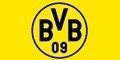 BVB Logo