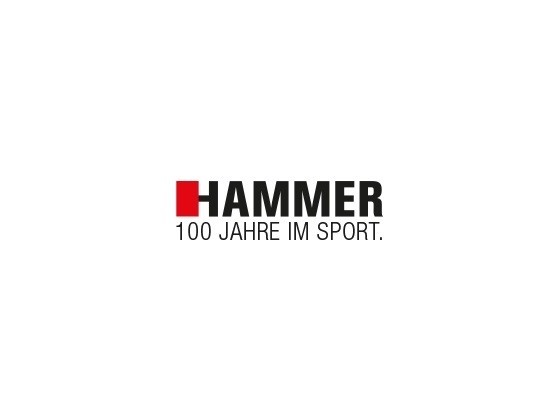 Hammer Logo