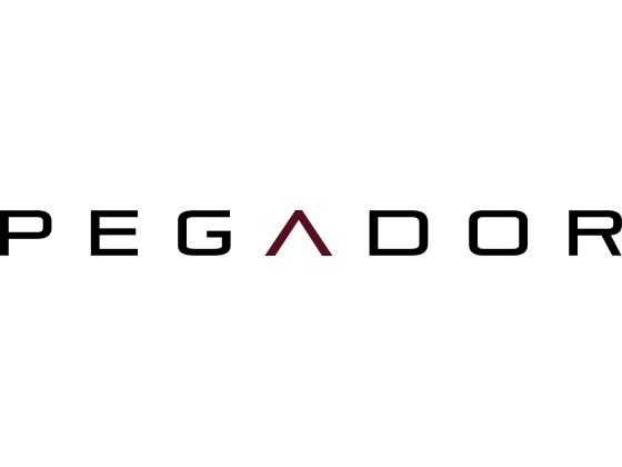 Pegador Logo