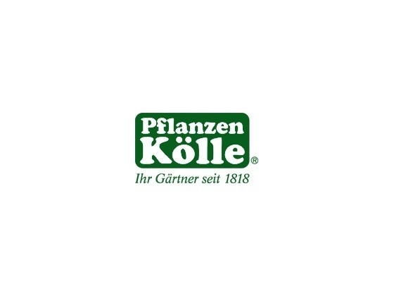 Pflanzen Kölle Logo