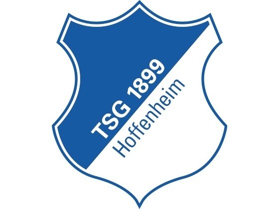 TSG Hoffenheim Logo