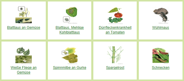 Baldur-Garten.de Pflanzendoktor