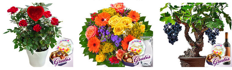FloraPrima Blumen & Gratis-Geschenk