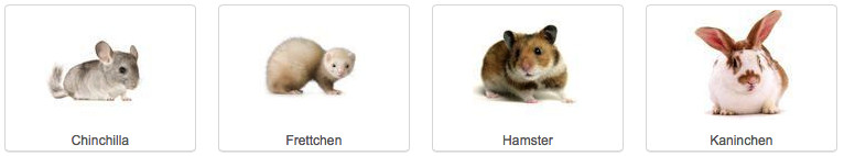 MedicalAnimal Kleintiere