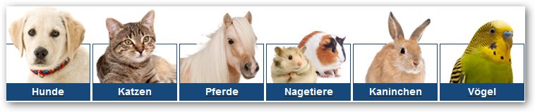 medpets Tiere