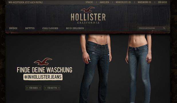 Hollister Website