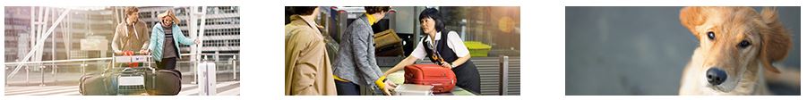 Lufthansa Gepäckbestimmungen Rubriken 2