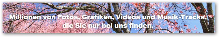 iStockphoto Downloads