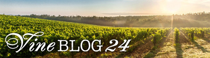 vineshop24.de Blog