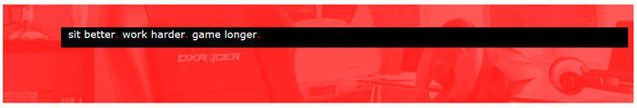 dxracer-germany.de Slogan