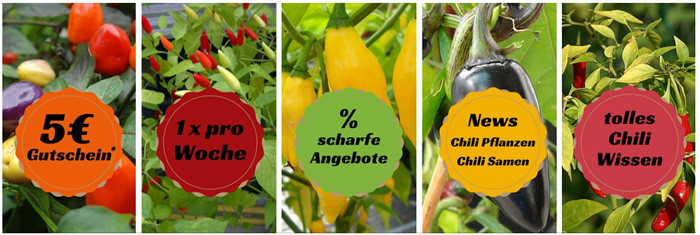 pepperworldhotshop.de Newsletter