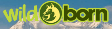 WildBorn Logo