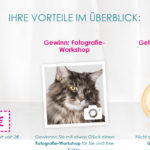 Purina Geld-zurück-Garantie: bis zu 20€ beim Kauf von Katzenfutter zurückerhalten!
