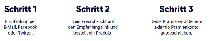 pyur.com Freundschaftswerbung