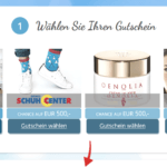Jeden Monat neu: Shopping Gutschein im Wert von 500€ abräumen!