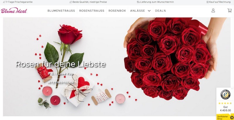 Blume Ideal Webseite