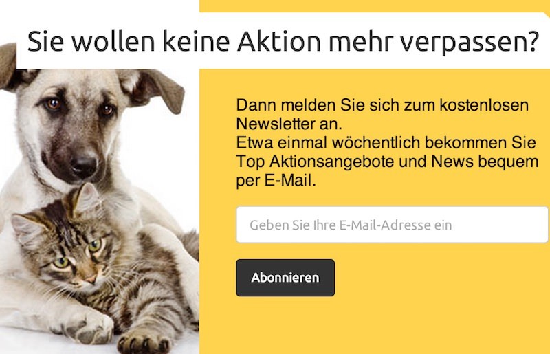 DogCatPet Newsletter