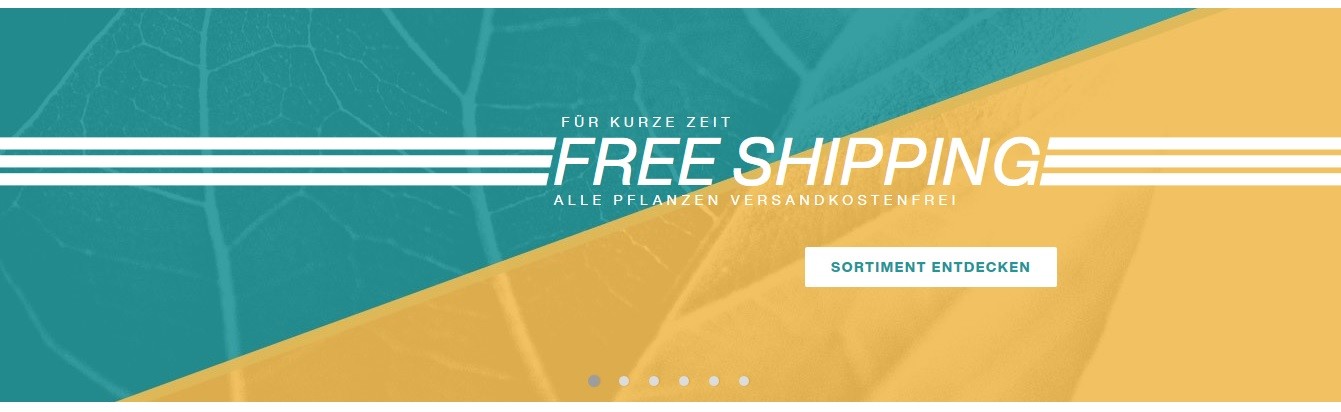 YouPlant Aktionsangebote