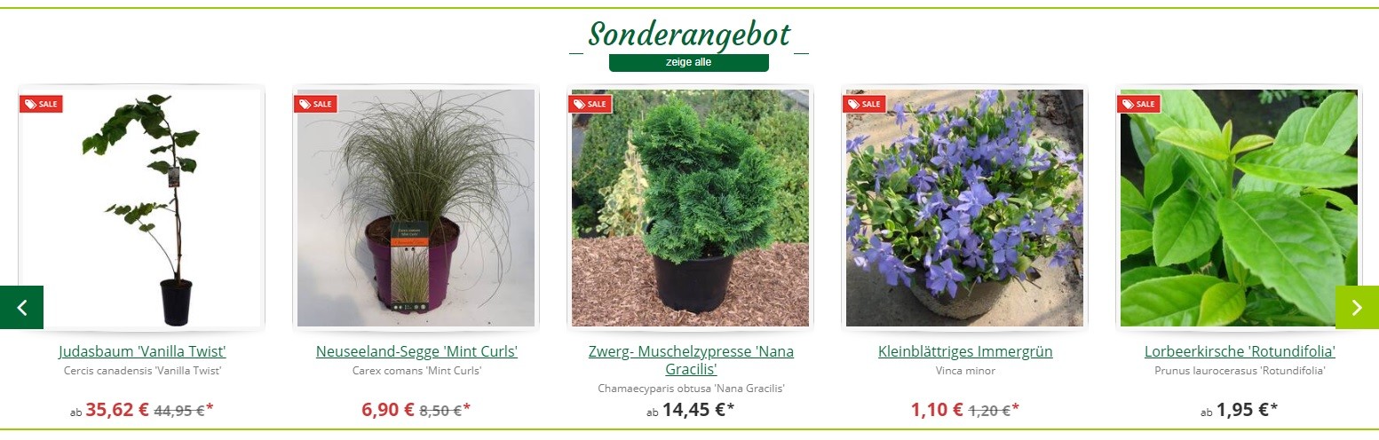 Gartenhit24 Rabatte
