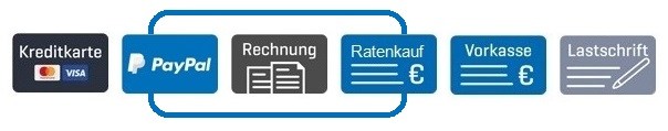 Staplerkönig Zahlungsarten