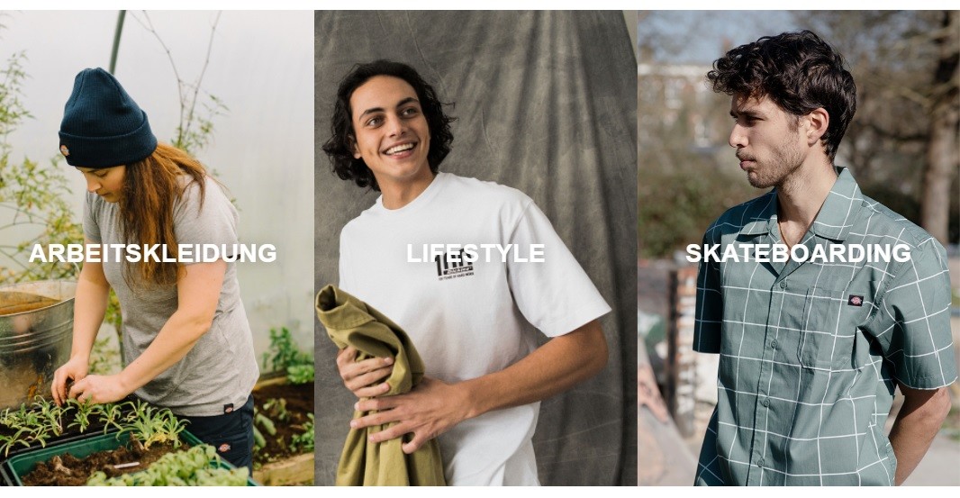 DickiesLife Angebot